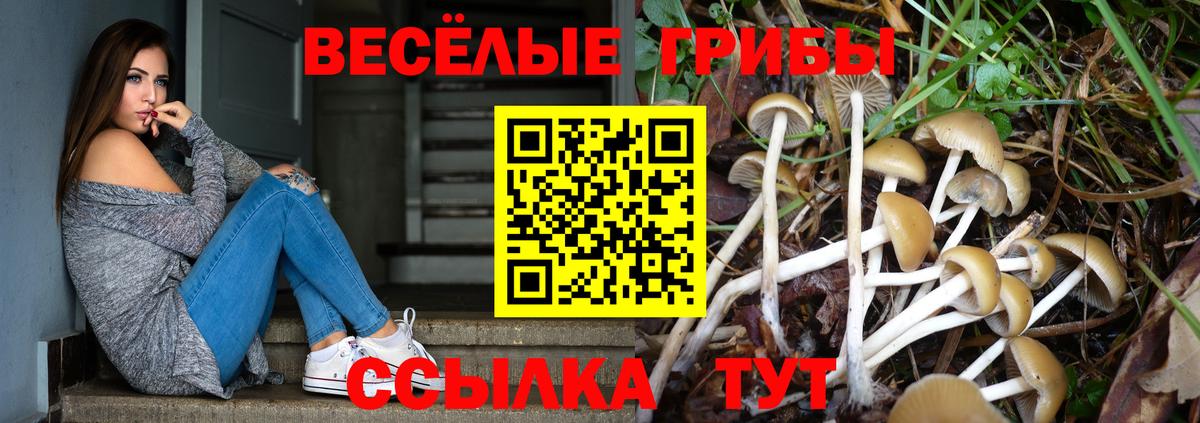 Галлюциногенные грибы ЛСД Каменск-Шахтинский