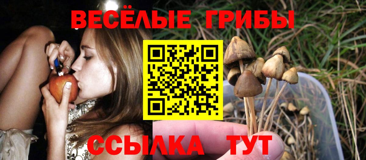 Псилоцибиновые грибы ЛСД  Вход с VPN  Каменск-Шахтинский 